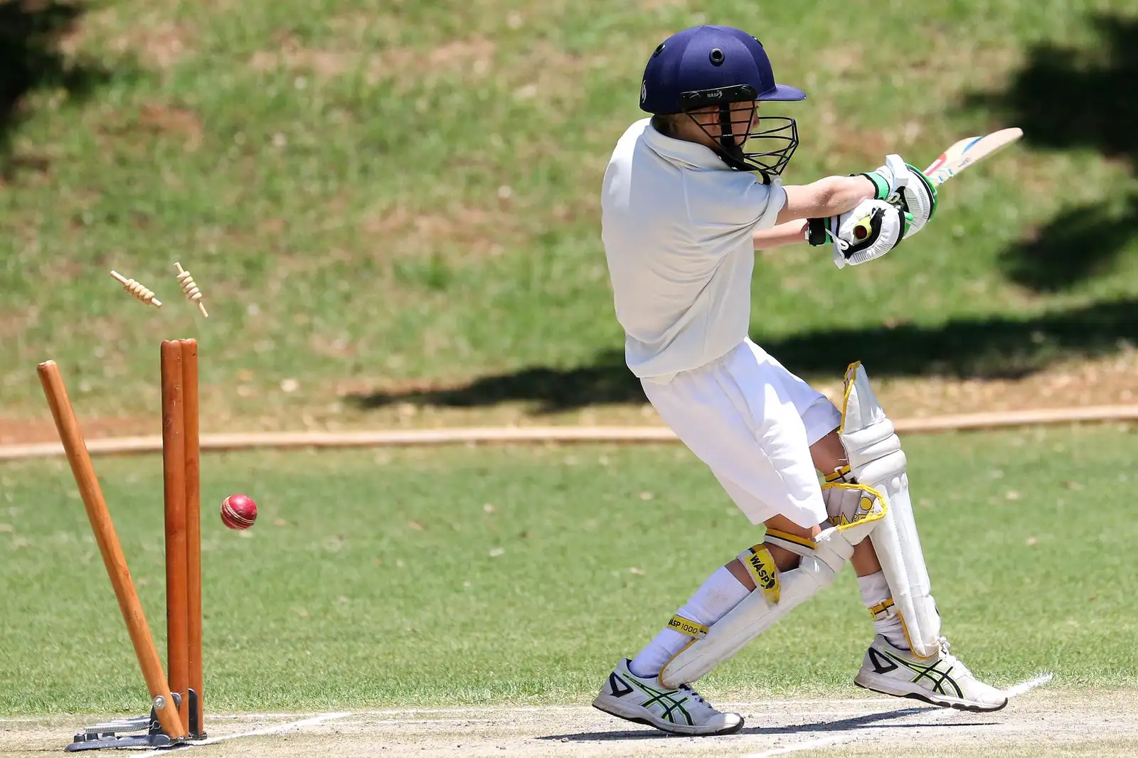 1xBet India Guide — 1xBet India: cricket betting, Aviator and casino in one place